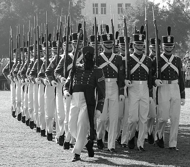 Wooden Soldiers on Parade