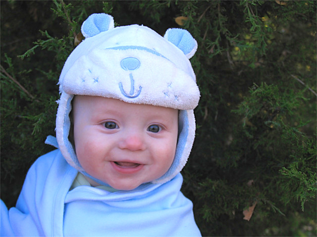 Baby Bear