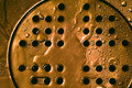 Spotless Drainage