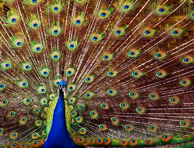 technically speaking...