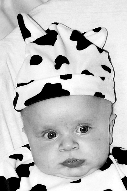 A Mooving Portrait