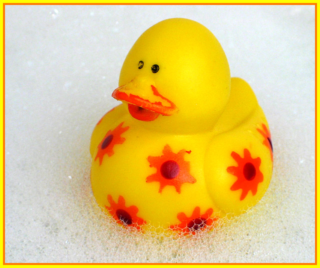 Rubber ducky