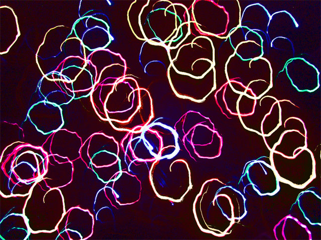 Fun With Christmas Lights