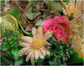 Flowers in HDR