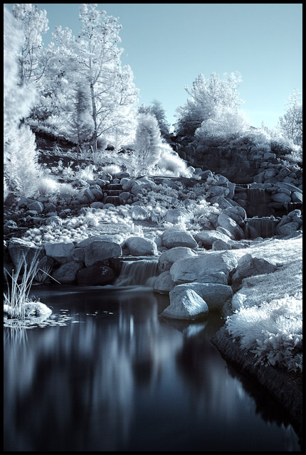 cold swim