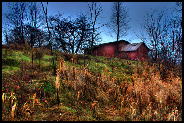 Barn Yard