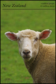 4 million people, 60 million sheep