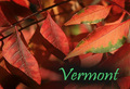 Vermont Autumn