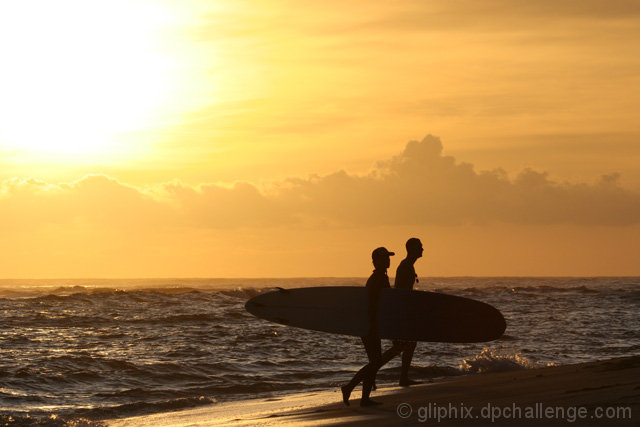 surfing