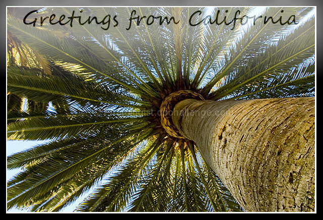 Greetings from California