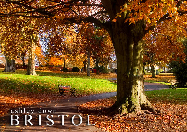 Bristol Fall