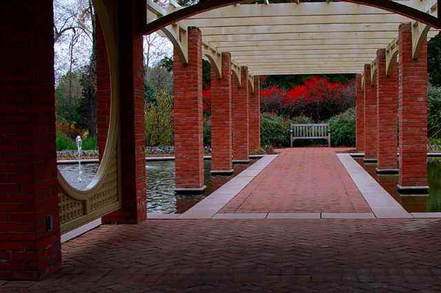 Water Garden in Winter, Huntsville Botanical Garden, USA