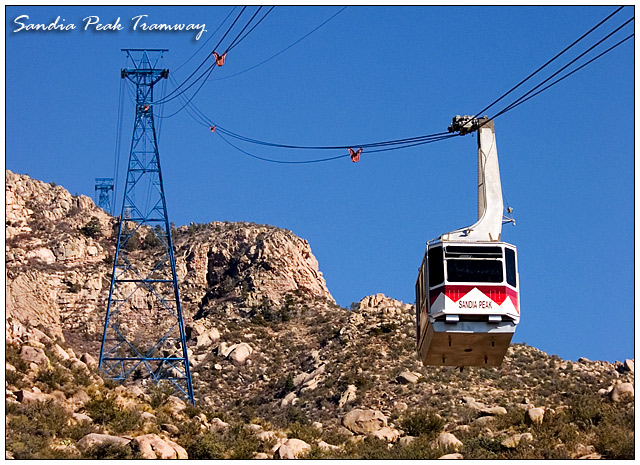 I Rode the World's Longest Tram!