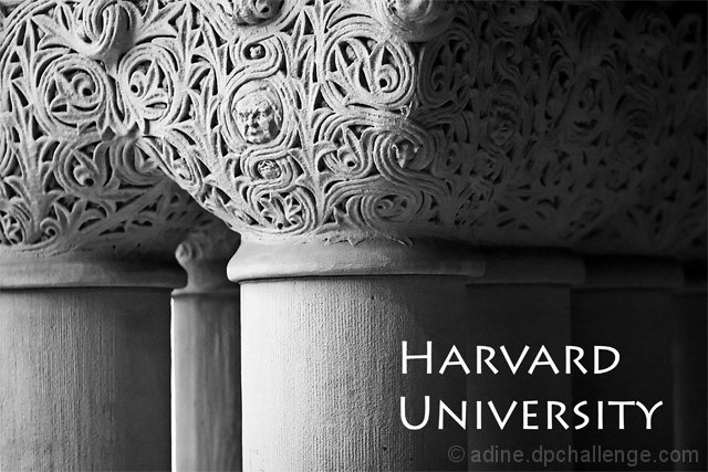 Harvard University