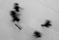 From Above