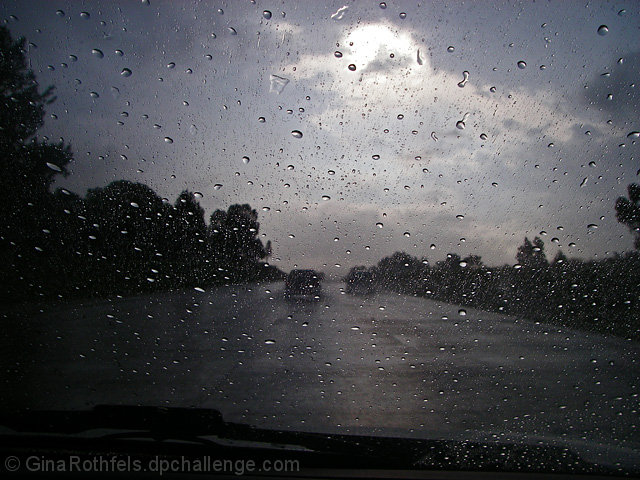 Driving in the rain