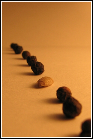 Perspective of a minority