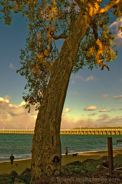 Sundown on the Waterfront