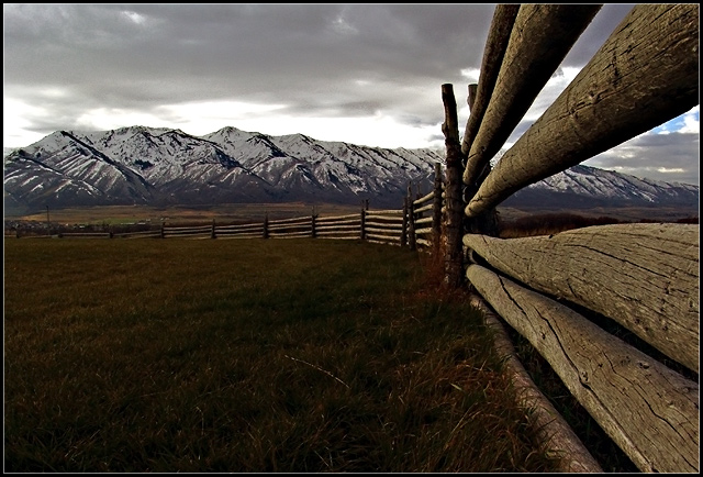 At the Edge of Wilderness