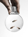 How to screw in a lightbulb