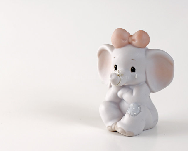 Baby Elephant