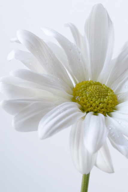 Imitation - the most sincere form of flattery?