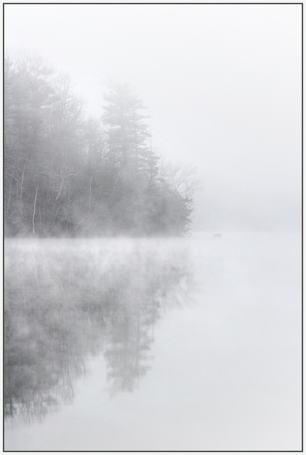 Foggy Dawn, Laurel Lake  Actual Full-Color Image