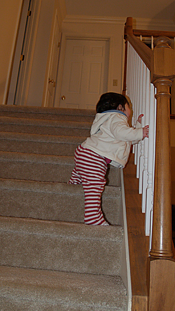 "Mommy - Daddy look !    I can go up the steps now !"    Yikes.