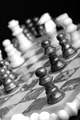 Checkmate!