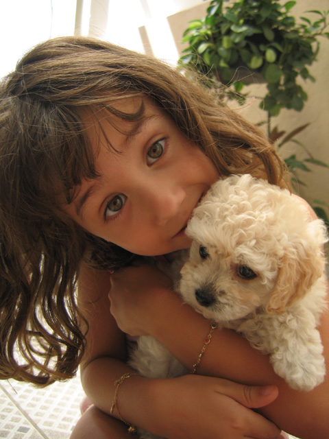 I love my dog