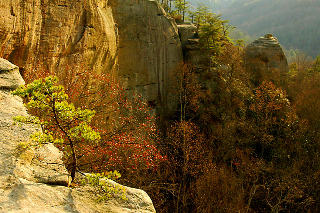 Red River Gorge