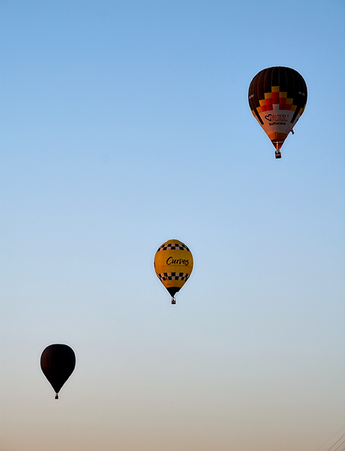 Sunset Flight