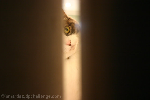 i c u