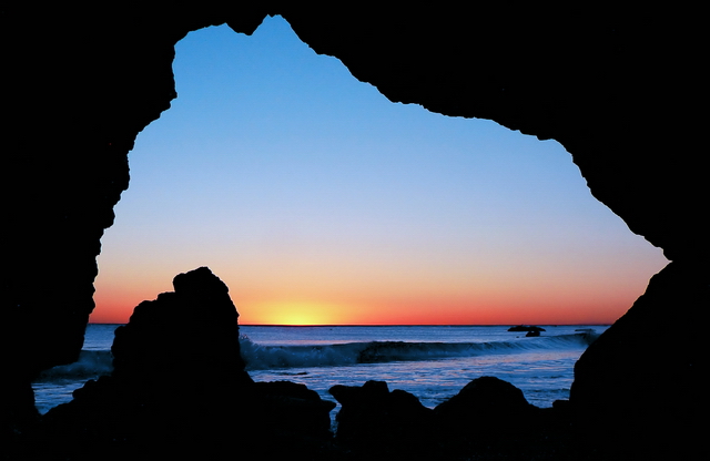 The Tide of Life
