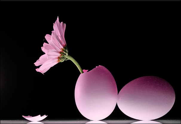 Fertility