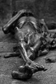 Sad sad world