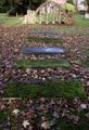 The old graves