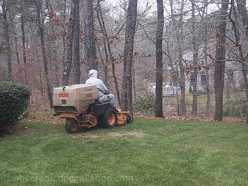 death of an oak leave