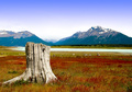 El Calafate