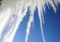 Cold Perspective