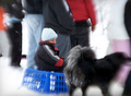 A Tired Sledder Takes a Break