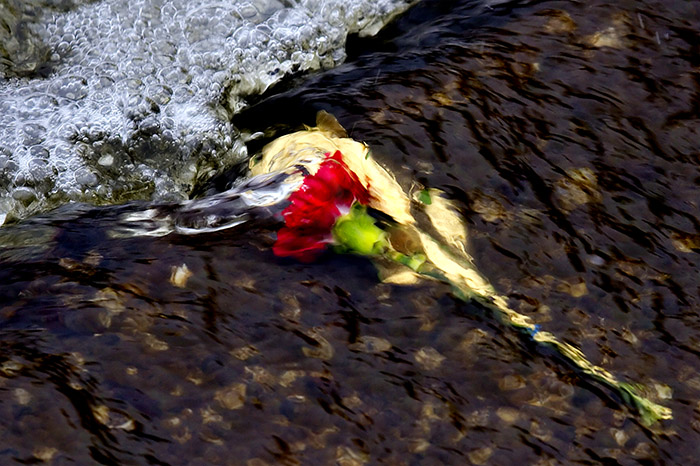 Love Lost