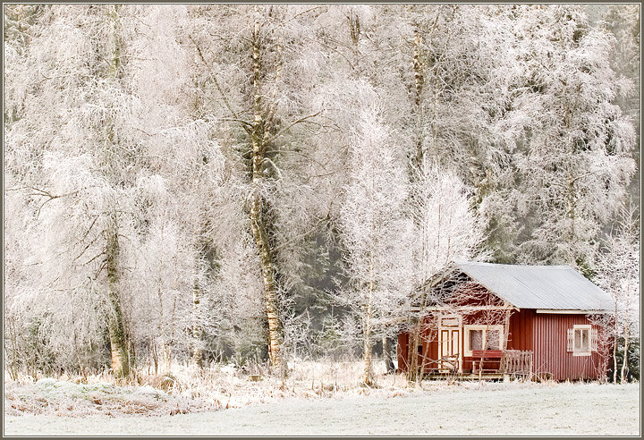 A Light Morning Frost