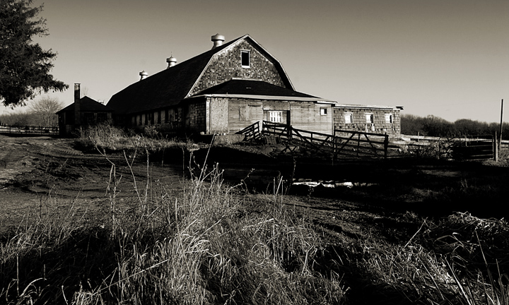 the last days of a dairy