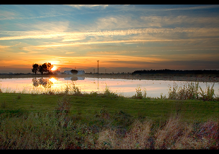 Sunset, Winter Rice Field