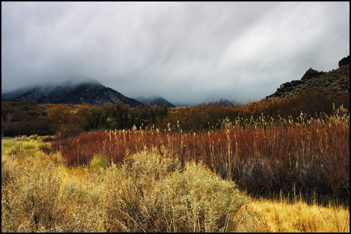 Impending Storm