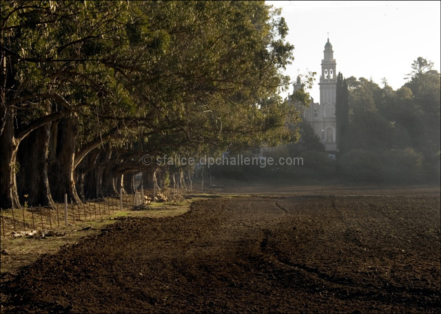 Freshly plowed earth - on a hazy morning