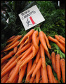 A veritable bargain is to be had!