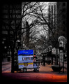 The Street Vendor