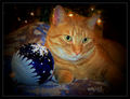 I'll Have a Blue Christmas Without You
